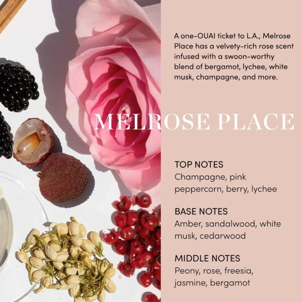 OUAI Body Cream, Melrose Place - Hydrating Whipped Body Cream with Cupuaçu Butter, Coconut Oil and Squalane - Softens Skin and Delivers Healthy-Looking Glow - Sulfate Free Skin Care (7.5 Oz) - Image 4