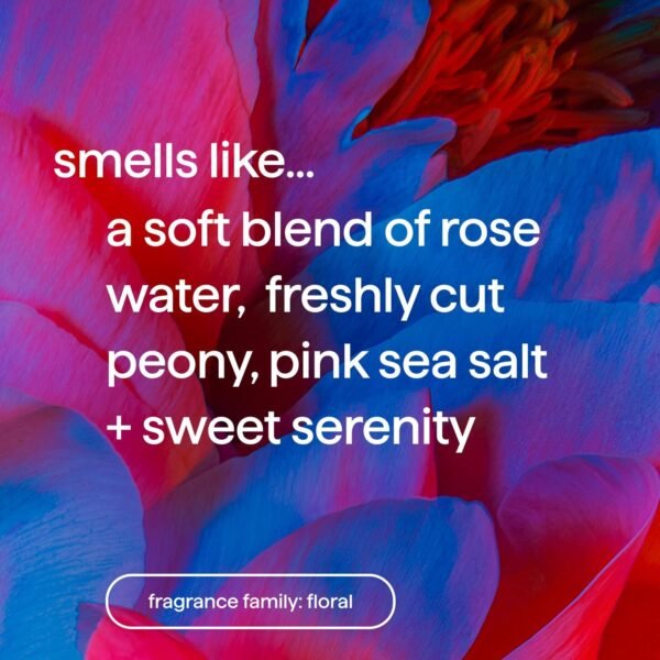 Method Body Lotion, Pure Peace, Rose Water, Peonies + Pink Sea Salt notes, 24 Hours of Moisture, 14 oz - Image 3