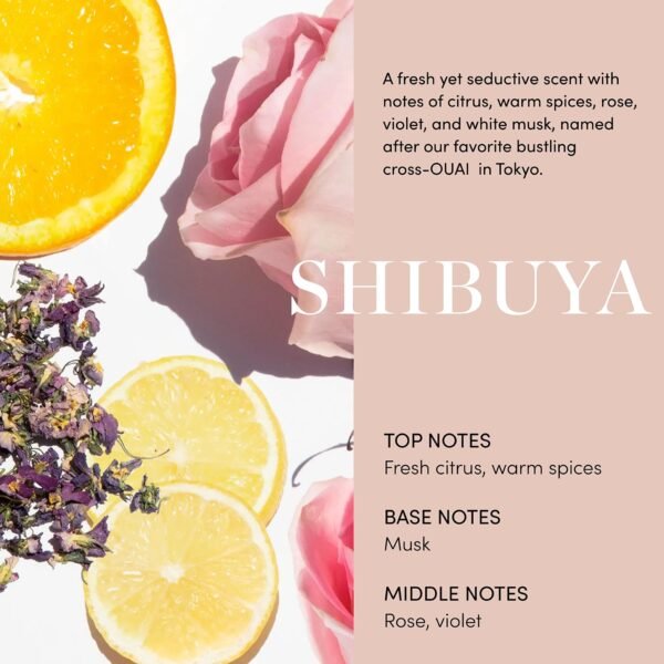 OUAI Body Cream, Shibuya - Hydrating Whipped Body Cream with Cupuaçu Butter, Coconut Oil and Squalane - Softens Skin and Delivers Healthy-Looking Glow - Sulfate Free Skin Care (7.5 Oz) - Image 4